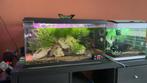 Ciano 60l, Dieren en Toebehoren, Vissen | Aquaria en Toebehoren, Ophalen, Zo goed als nieuw, Leeg aquarium