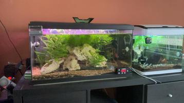 Ciano 60l, Enlèvement, Comme neuf, Aquarium vide