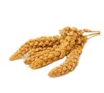 Gele giersttrossen, Dieren en Toebehoren, Dierenvoeding, Ophalen, Vogel