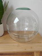 Glazen vaas / bol voor terrarium, Huis en Inrichting, Ophalen, Zo goed als nieuw, Overige kleuren, Minder dan 50 cm