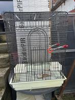 Parkiet of papegaaien kooi, Dieren en Toebehoren, Ophalen of Verzenden, Gebruikt