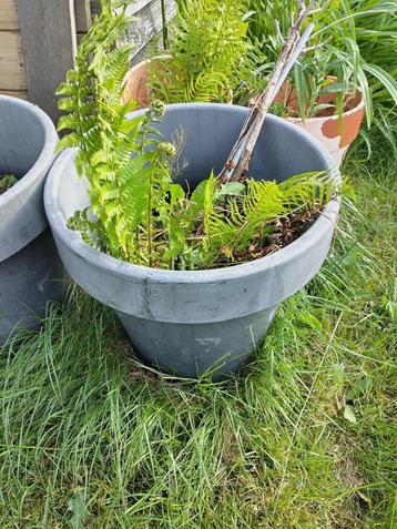 Plantenpotten beschikbaar voor biedingen