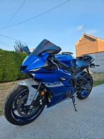 Yamaha yzf-r600, Motos, Motos | Yamaha, Particulier
