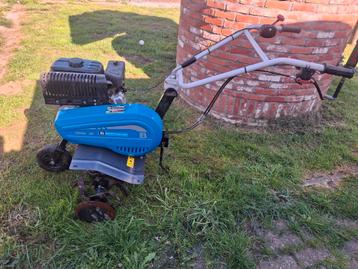 Tuin frees  beschikbaar voor biedingen