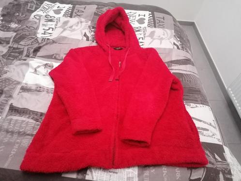 Pull ZIPPÉ  à capuche XL -  À EMPORTER CHARLEROI 6540 LOBBES, Kleding | Dames, Truien en Vesten, Gedragen, Maat 46/48 (XL) of groter