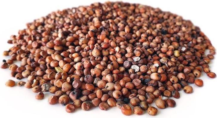 Dari Rood 20kg, Animaux & Accessoires, Oiseaux | Accessoires, Neuf, Manger et Boire, Enlèvement ou Envoi