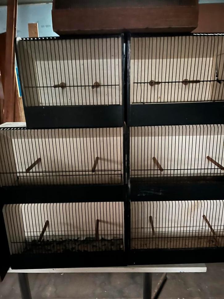 T.T..kooien, Dieren en Toebehoren, Vogels | Hokken en Kooien, Zo goed als nieuw, Hout, Ophalen