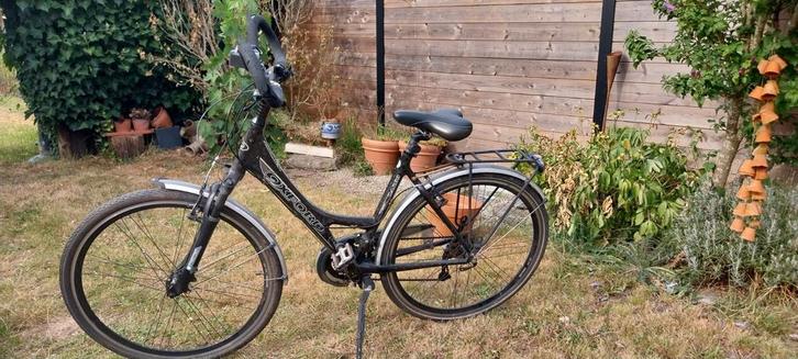 Oxford carbon trekkingfiets, Fietsen en Brommers, Fietsen | Dames | Omafietsen, Gebruikt, Versnellingen, Ophalen