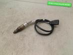 SONDE LAMBDA Volkswagen T-Roc (06k906262ba), Utilisé, Volkswagen