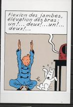Carte postale : Hergé : Tintin/Kuifje - L'oreille cassée, Collections, Enlèvement ou Envoi