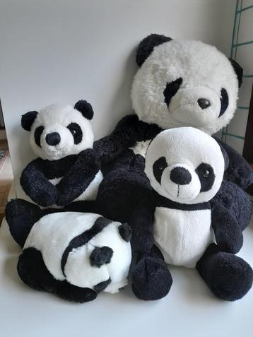 knuffels pandaberen beschikbaar voor biedingen