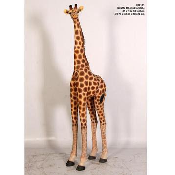 Girafe de 8 pieds — Statue de girafe Hauteur 230 cm