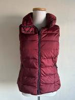 Bodywarmer maat 38, Kleding | Dames, Bodywarmers, Ophalen of Verzenden, Zo goed als nieuw, Maat 38/40 (M)