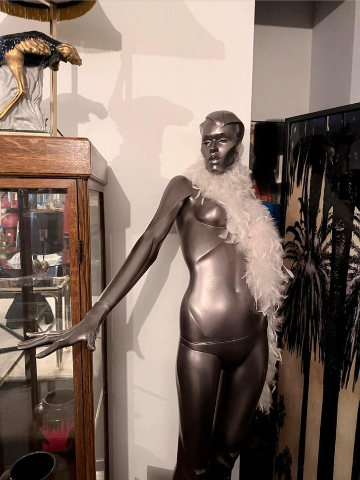 Mannequin vintage pour femme en argent, Antiquités & Art, Curiosités & Brocante, Enlèvement