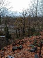 Arbres a abattre, Jardin & Terrasse, Enlèvement