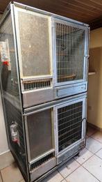 kooi, Dieren en Toebehoren, Ophalen