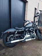 Harley-Davidson Sportster Forty eight "48" special 2020, Motoren, Motoren | Harley-Davidson, Particulier