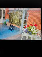 Huisgenote gezocht Arendonk