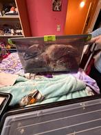 Grote doos met technic lego onderdelen, Enlèvement, Comme neuf, Lego