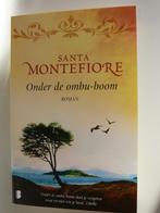 Romans Santa Montefiore, Boeken, Ophalen, Zo goed als nieuw, Santa Montefiore