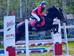 6 jarige D pony ruin, Dieren en Toebehoren, Pony's, Ruin, D pony (1.37m tot 1.48m), Springpony, 3 tot 6 jaar