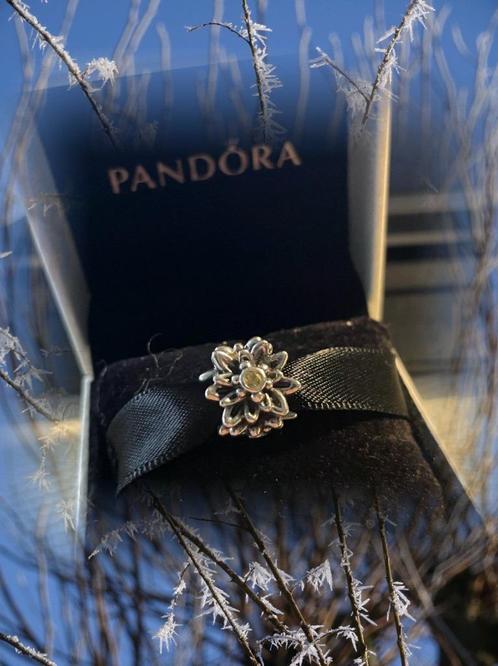 Authentique et magnifique bille de Pandora ! "L'Edelweiss", Handtassen en Accessoires, Bedels, Zo goed als nieuw, Pandora, Zilver