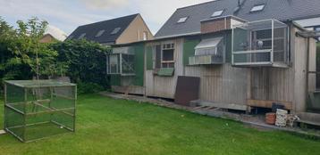 Duivenhok in 2 delen + 60 kweekbakken