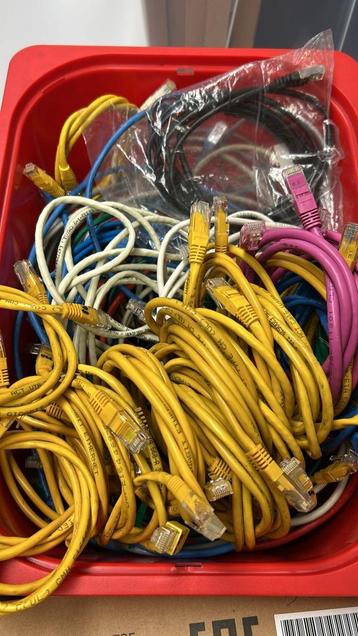 30 Stuks netwerk- / internet kabel beschikbaar voor biedingen