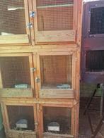 konijne hok, Dieren en Toebehoren, Ophalen, Gebruikt, Hok, Hamster