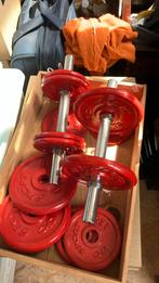 Halters dumbells, Sport en Fitness, Ophalen, Gebruikt