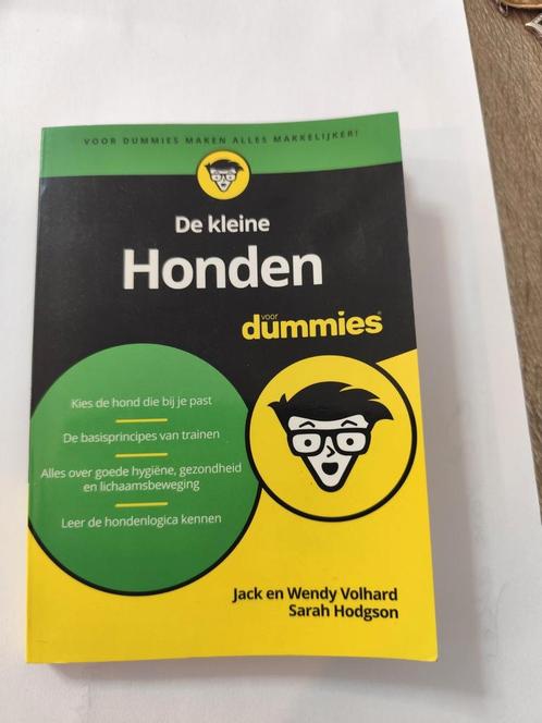 Sarah Hodgson - De kleine Honden voor Dummies, Boeken, Dieren en Huisdieren, Zo goed als nieuw, Honden, Ophalen