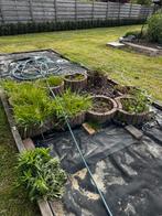 10 moestuin perkjes, Boeken, Wonen en Tuinieren, Ophalen, Moestuin