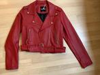 veste style perfecto, Enlèvement, Neuf, Taille 36 (S), Rouge