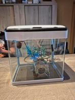 Aquarium + toebehoren, Dieren en Toebehoren, Ophalen, Gebruikt, Leeg aquarium