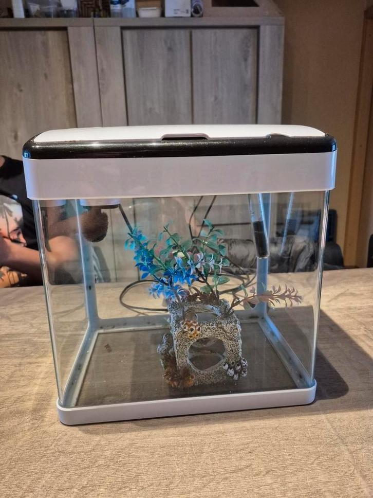 Aquarium + toebehoren, Dieren en Toebehoren, Vissen | Aquaria en Toebehoren, Gebruikt, Leeg aquarium, Ophalen