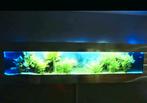 Nieuw nieuw, een aquarium dat je aan de muur ophangt, Dieren en Toebehoren, Vissen | Aquaria en Toebehoren, Ophalen, Zo goed als nieuw