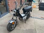 Yamaha chappy 513, Scooter, Jusqu'à 11 kW, 1 cylindre, 49 cm³
