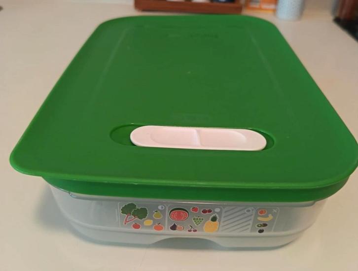 Boite de conservation Tupperware VentilOfrais, Huis en Inrichting, Keuken | Tupperware, Nieuw, Bus of Trommel, Groen, Ophalen