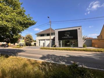 Te koop: 2 luxueuze villa-app. + handelsruimte + showroom beschikbaar voor biedingen