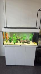 Aquarium juwel 180 liter te koop, Dieren en Toebehoren, Vissen | Aquaria en Toebehoren, Ophalen, Nieuw