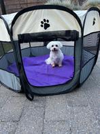 Opvouwbare huisdieren-speelweide LARGE  Perfecte staat, Dieren en Toebehoren, Ophalen of Verzenden, Zo goed als nieuw, X, X