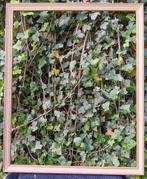 Klassieke Kader, Huis en Inrichting, Ophalen of Verzenden