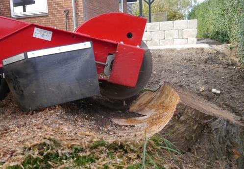 Boomstronken verwijderen met stronkenfrees, Tuin en Terras, Planten | Bomen, Ophalen
