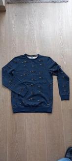 trui Fish & Chips voor +- 12 jaar, In nieuwstaat, Fish & Chips, Trui of Vest, Ophalen of Verzenden, Zo goed als nieuw