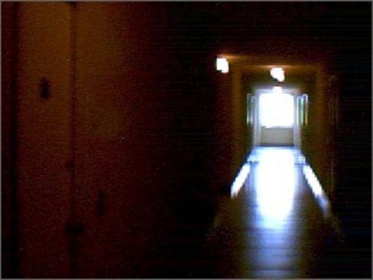 EENZAAM dood MERKSPLAS, Antiek en Kunst, Kunst | Tekeningen en Fotografie, Verzenden