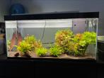 Aquarium Ciano emotion pro 240L, Dieren en Toebehoren, Ophalen, Zo goed als nieuw