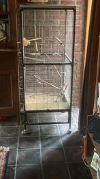 grote vogelkooi, Dieren en Toebehoren, Ophalen, Gebruikt, Metaal, Vogelkooi
