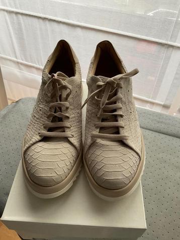 Neufs : baskets allrounder, Neuf, Sneakers et Baskets, Enlèvement, Baldini