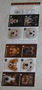 1 boekje b145 laat ze niet in de steek honden, Frankeerzegel, Ophalen of Verzenden, Zonder stempel, Postfris