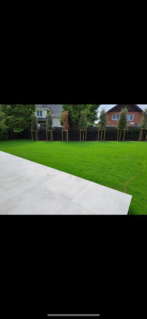 Jardinier paysagiste horticulteur, Jardin & Terrasse, Gazon & Gazon artificiel, Enlèvement ou Envoi